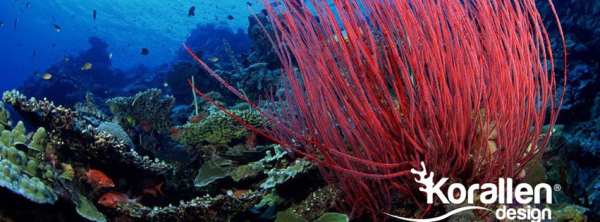 International Ocean, Air Freight resized 600