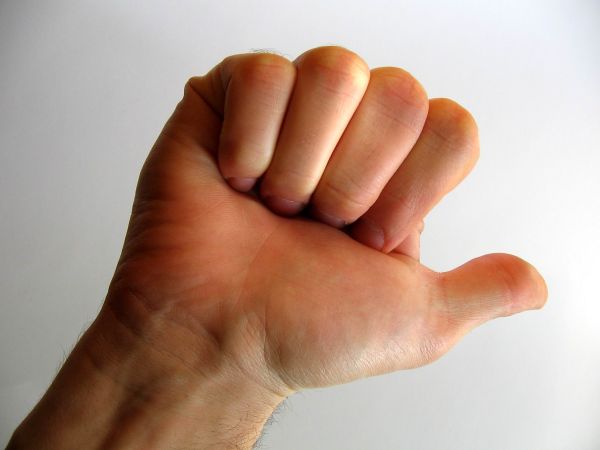 International freight forwarders